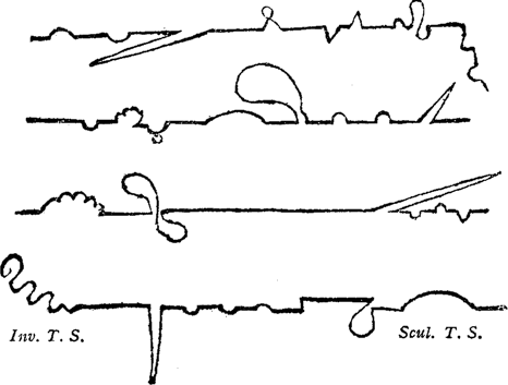 Tristram Shandy Plot Lines